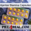 Ajantas Stamina Capsules new10